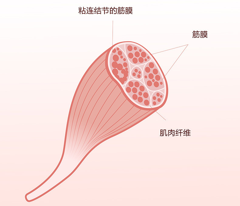 中新网:2024香港正版挂牌-筋膜枪洗杨梅火了  第3张