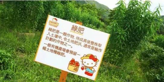 百度平台:香港资料免费长期公开-kitty是什么意思  第2张