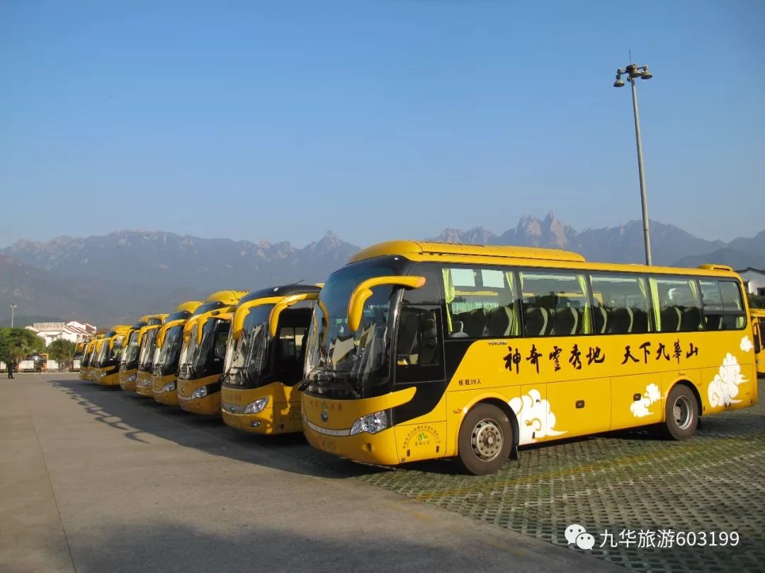 知乎：新澳门王中王资料-池州到九华山怎么坐车  第2张
