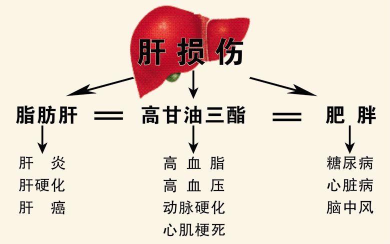 腾讯：澳门一肖一码一中一肖-肝脂肪浸润是什么意思  第3张