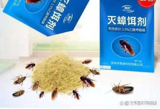 火山视频:澳门4949资料免费大全-蟑螂对杀虫剂无感了  第2张