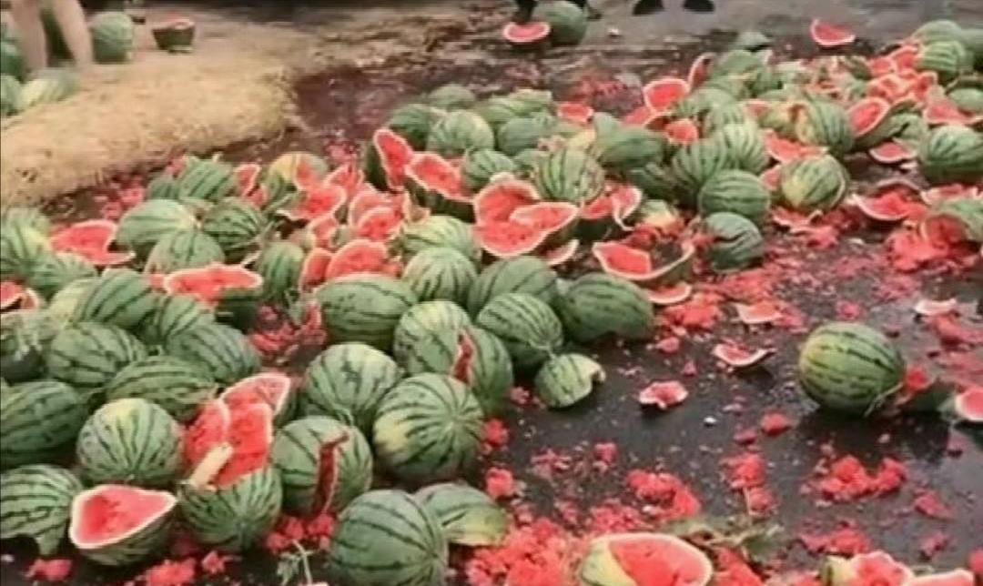 阿里巴巴:新澳门精准资料期期精准-西瓜摊被砸倒赔500  第3张