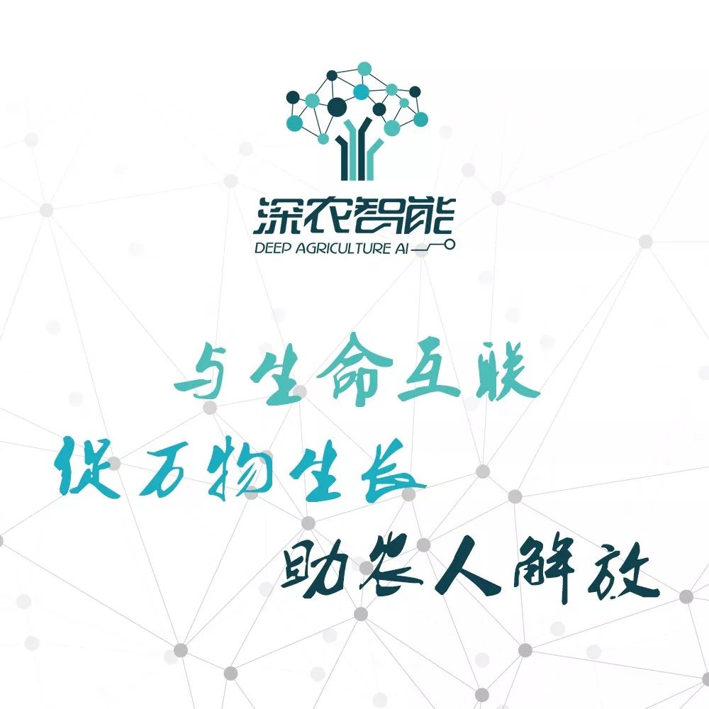 阿里巴巴:香港内部公开资料最准下载-边缘是什么意思  第2张