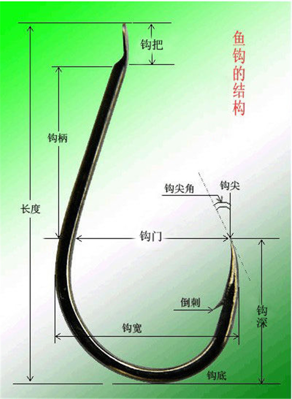 搜狗订阅:新澳精准资料免费提供-鱼钩是什么生肖  第2张