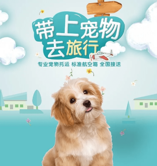 百家号:澳门最快最精准资料大全-高铁怎么托运狗狗  第2张