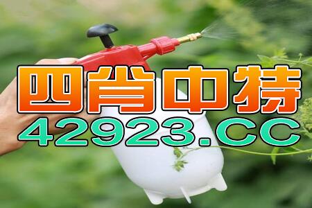 中新网:管家婆一码中一肖2024-动漫怎么画  第1张