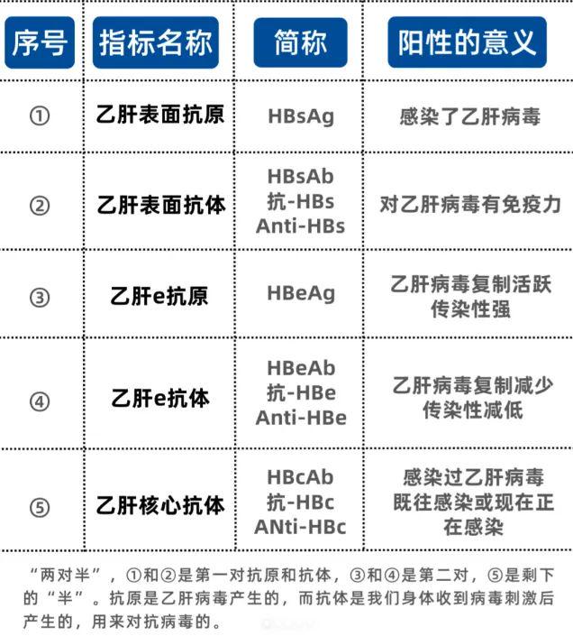 搜狐:4949澳门开奖免费大全-乙肝核心抗体阳性什么意思  第1张