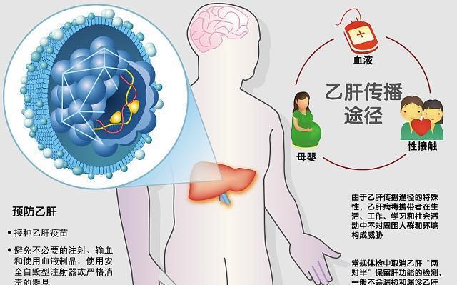 搜狐:4949澳门开奖免费大全-乙肝核心抗体阳性什么意思  第2张