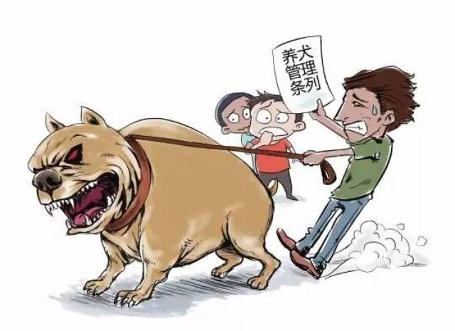 抖音视频:新奥资料免费精准-恶犬伤人拟纳入处罚  第1张