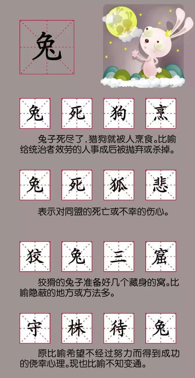 小红书:澳门正版资料大全资料生肖卡-又什么又什么四字词语  第1张