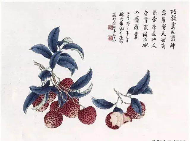 搜狐订阅：2823澳门新资料大全免费-垂涎欲滴意思是什么  第2张