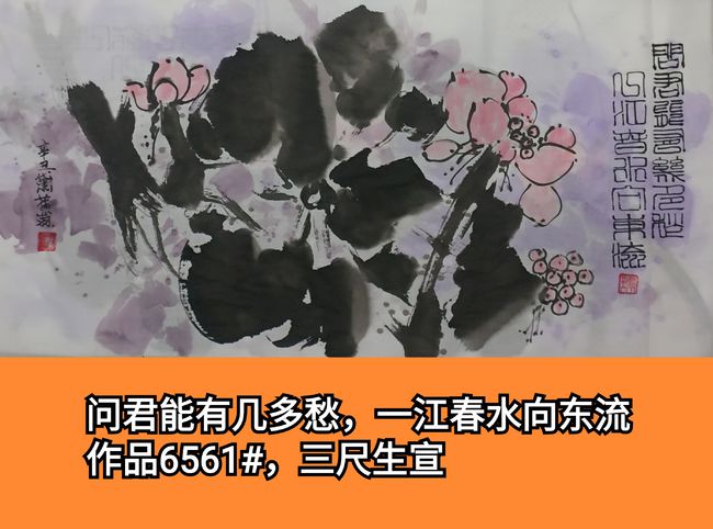 搜狐订阅：2024澳门资料大全正版资料-甲龙怎么画  第1张