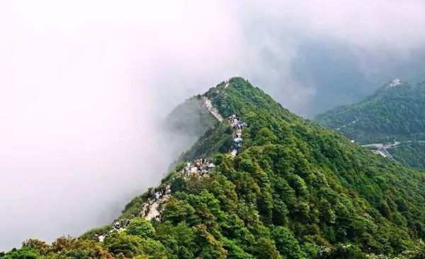 小红书:2024澳门资料大全免费-登山杖怎么收缩  第3张
