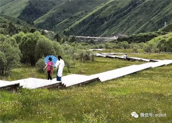 抖音视频:4949最快开奖资料4949-阿坝旅游遭拦路收费  第1张