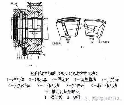 搜狐:王中王中特网资料大全-怎么画玫瑰  第1张