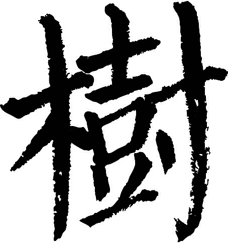 网易:王中王最准一肖100免费公开-树的繁体字怎么写  第1张