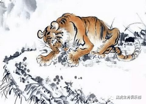 知乎：2024澳门今天晚上开什么生肖-白手起家指什么生肖  第1张