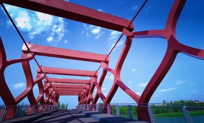 小红书:2024澳门免费公开资料大全-青山对什么  第2张