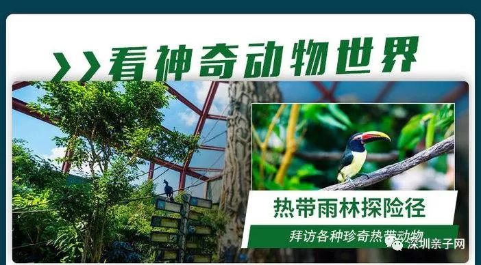 搜狐订阅：2024今晚香港开特马开什么-怎么去罗浮山  第1张