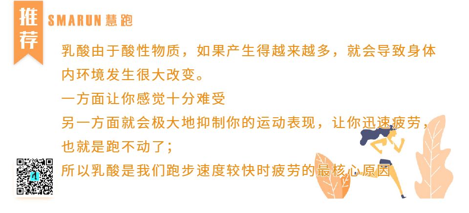 小红书:管家婆2024年一马中-什么是有氧运动什么是无氧运动  第1张