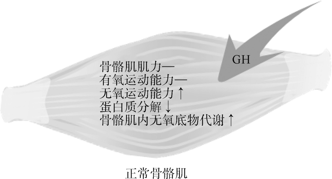 小红书:管家婆2024年一马中-什么是有氧运动什么是无氧运动  第2张