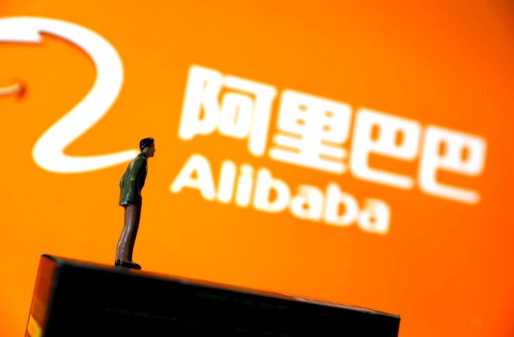 阿里巴巴:澳门王中王六码新澳门-子规是什么意思  第2张