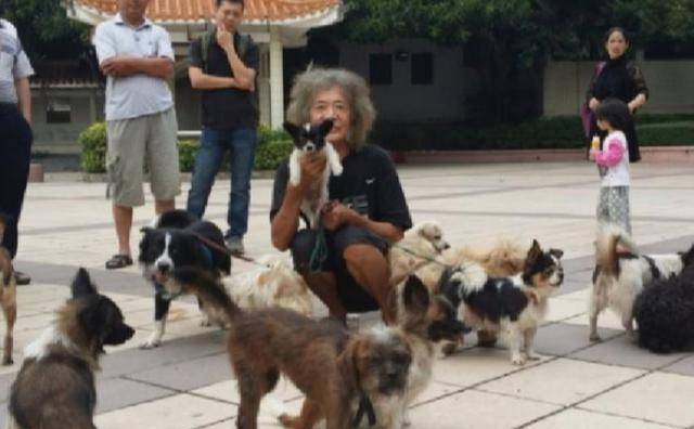 搜狐:香港内部公开资料最准下载-狗丢了怎么办  第1张