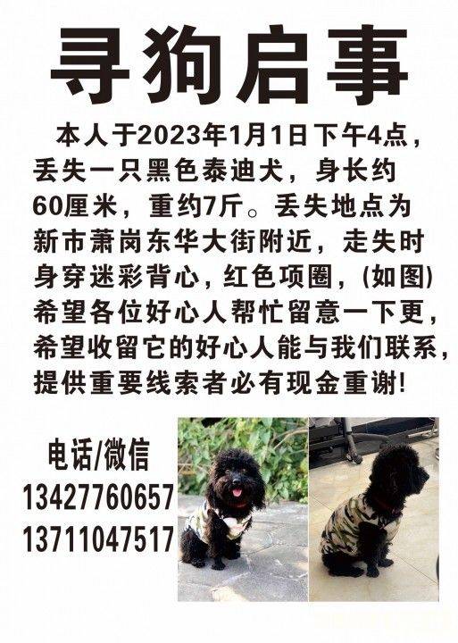 搜狐:香港内部公开资料最准下载-狗丢了怎么办  第3张