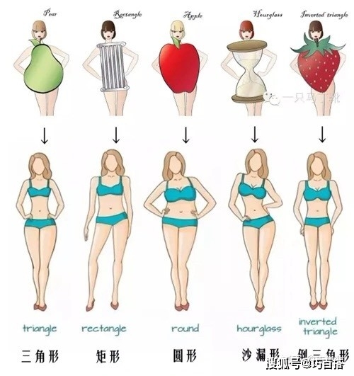 腾讯：4949开奖免费大全-什么是梨形身材  第3张