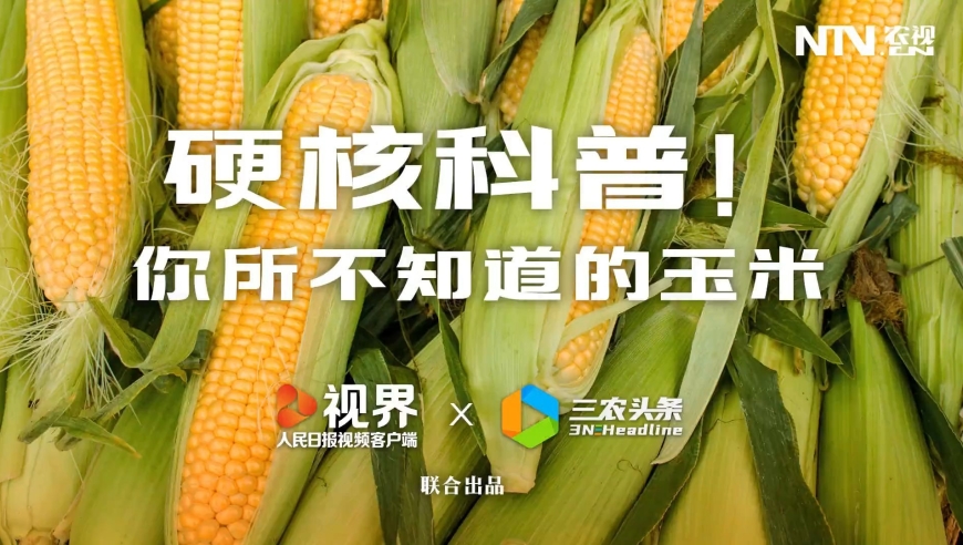 腾讯：2024年全年正版免费资料-粟是什么农作物  第2张