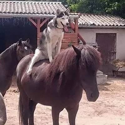 搜狐:澳门马场资料最准一码-唇色深是什么原因  第1张