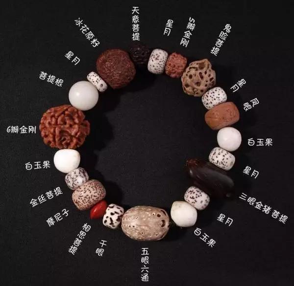 网易:新奥彩资料免费提供-菩提子是什么  第2张