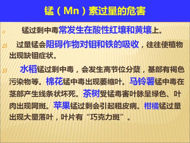 火山视频:新澳门精准资料大全管家婆料-微量元素是什么  第2张