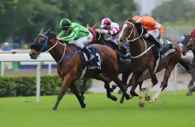 百家号:香港免费资料大全-舌头发紫是什么原因  第3张